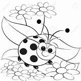 Cute Ladybug Coloring Pages sketch template