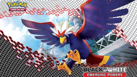 Braviary - Pokemon wallpaper - Game wallpapers - #41239