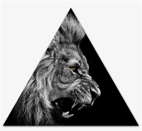 Lion Roar Wallpaper High Quality - Laptop Wallpapers Black And White Transparent PNG - 1962x1242 ...