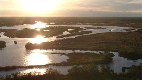 Everglades Florida