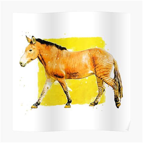 "Zorse Animal Art" Poster for Sale by dimzdesignlab | Redbubble