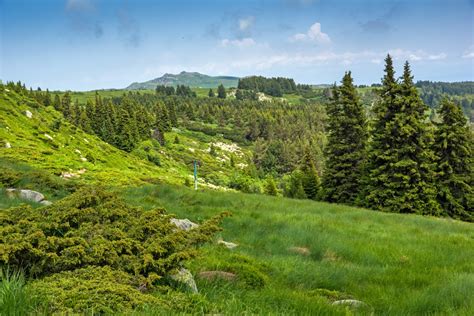 Vitosha Nature Park