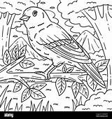 Black Canary Coloring Pages For Kids sketch template