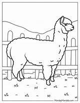 Farm Animals Coloring Pages For Girls sketch template