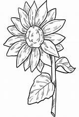 68 Free Printable Sunflower Coloring Pages sketch template
