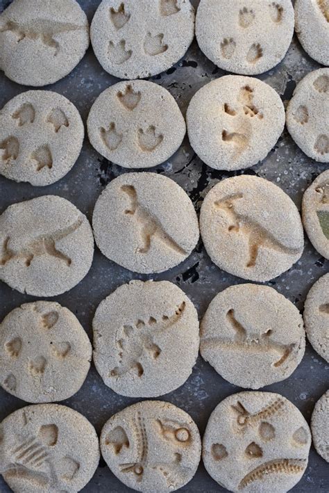 How to Make Dinosaur Fossils for Kids {From Salt Dough!} - Make Life Lovely