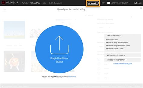 Use the Contributor portal on Adobe Stock