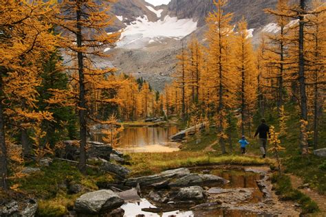 Family Adventures in the Canadian Rockies: The BEST of Autumn in the Canadian Rockies - updated 2023