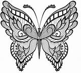 Adult Coloring Sheets Butterfly Pages sketch template