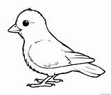 Bird coloring page – Line Art Illustrations sketch template