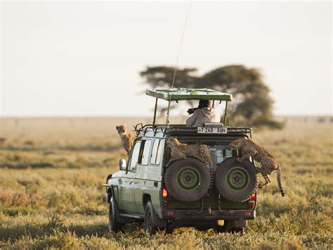 The Secret Behind Fascinating Serengeti Tanzania Safari - See Africa Today