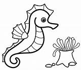 Seahorse And seaweed coloring Page  Free Printable sketch template