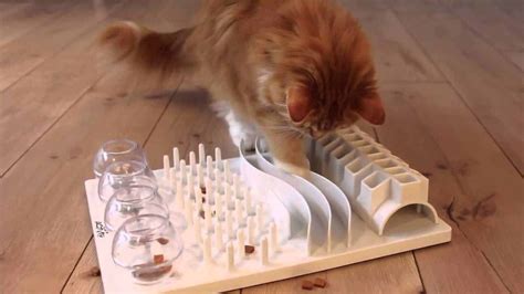 Puzzle Feeders for Cats | The Cat's Meow Veterinary Hospital