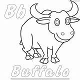Free Buffalo Coloring Pages PDF To Print  Coloringfoldercom sketch template