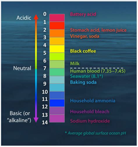 What Can the pH of Our Saliva Tell Us About Health? | by Rita Wilhelm | BeingWell | Medium