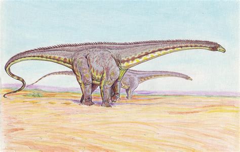 Diplodocus | Jurassic Park Wiki | Fandom