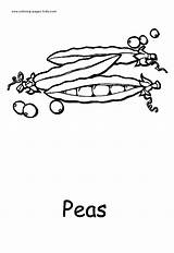 Coloring Peas Vegetable Pea Kids Pages Printable Template Food 4kids  sketch template