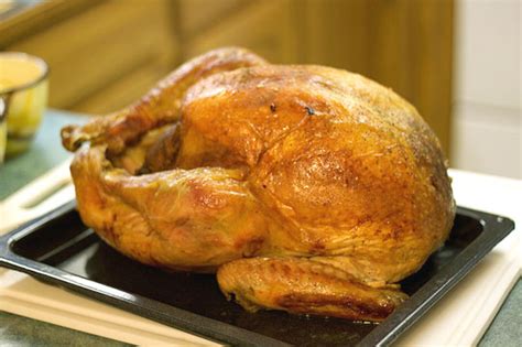 Nutritional Comparison of White and Dark Turkey Meat – The Poultry Guide