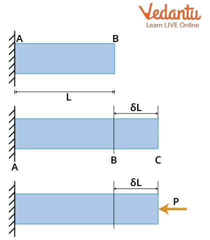 Thermal Stress and Strain Important Concepts and Tips for JEE