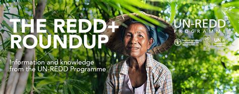 Stories website (multimedia) | UNREDD Programme