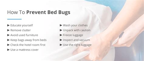 Chapter 4: Prevention & Treatment of Bed Bugs | Pestech