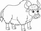 Yak Animal Coloring Page For Kids sketch template