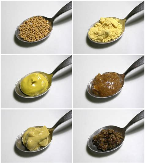 Mustard Varieties - Dijon, English, German