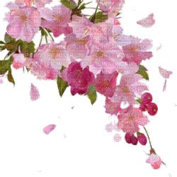 Spring Blossoms Falling, spring , blossom , flower , pink , flowers ...