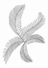 Palm Branch Coloring Sheet sketch template