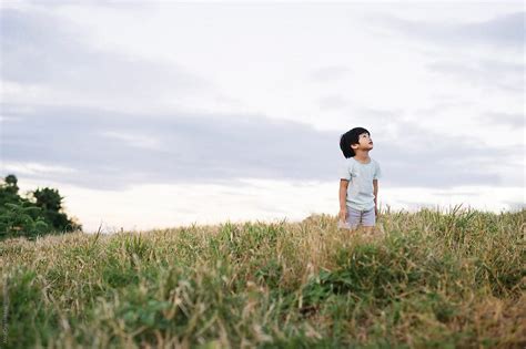 "A Boy Looking Up To The Sky At A Field" by Stocksy Contributor "Alita ...