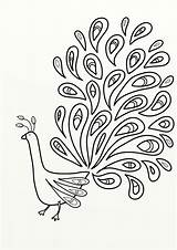 Free Peacock Coloring Pages To Print Download  sketch template