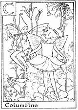 Flower Fairies Coloring Pages sketch template