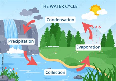 Water Cycle of Evaporation, Condensation, Precipitation to Collection in Earth natural ...