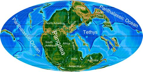 Frontiers | Palaeophytogeographical Patterns Across the Permian–Triassic Boundary