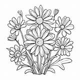 Download Bouquet Of Daisies Coloring Page Pages Online  sketch template