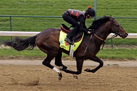 Los básicos que debes saber sobre las carreras de caballos – Revista ...