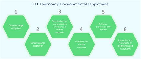 The EU Taxonomy in the international context of sustainability standards