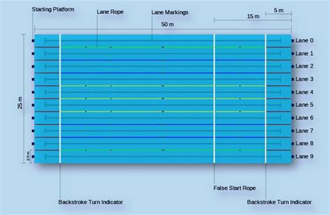 Dimensions Of An Olympic Sized Swimming Pool - Image to u