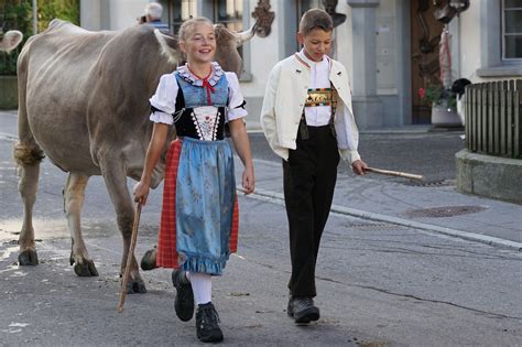 Cattle Show in Appenzell Village