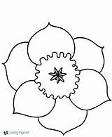 Flower Head Coloring Page Sketch sketch template