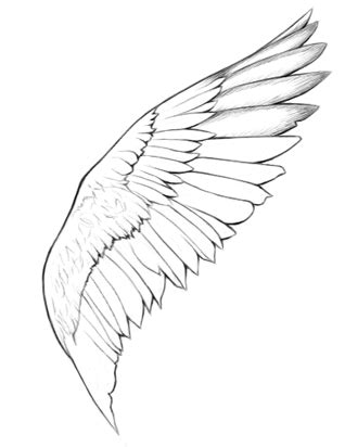 How to draw a wing | Wings drawing, Drawings, Art