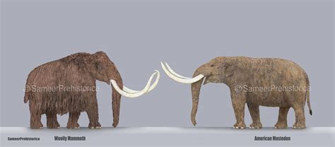 Mammoth vs Mastodon by SameerPrehistorica on DeviantArt