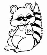 Raccoon coloring page sketch template