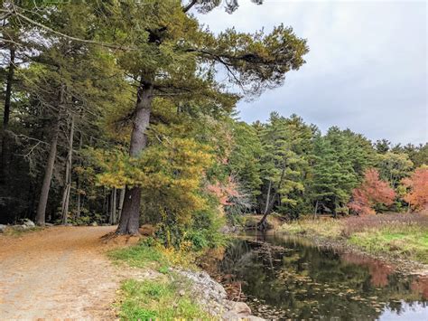 Katie Wanders : White Memorial Conservation Center - Litchfield, Connecticut