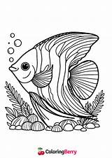 Angelfish Coloring Page Free PDF Printable sketch template