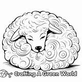 Sheep Coloring Pages  Free & Printable sketch template