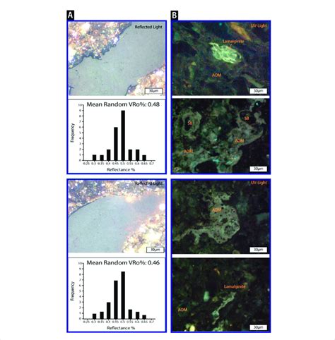 (A) Example microphotograph of vitrinite clasts and histogram ...