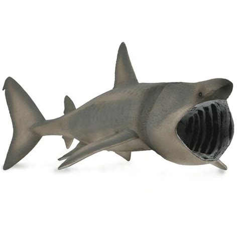 CollectA Basking Shark – Animal Kingdoms Toy Store