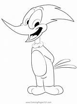Woody The Woodpecker Coloring Page Pages sketch template
