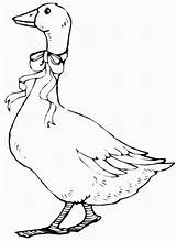 Goose coloring pages To Download And Print For Free sketch template